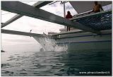Filippine 2015 Dive Boat Pinuccio e Doni - 263